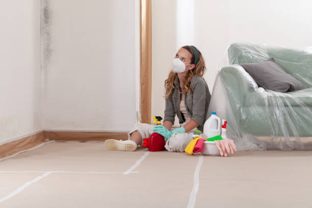 Reliable Crawl Space Mold Remediation contractor in Olympia, WA by 24 Hour Mold Removal
